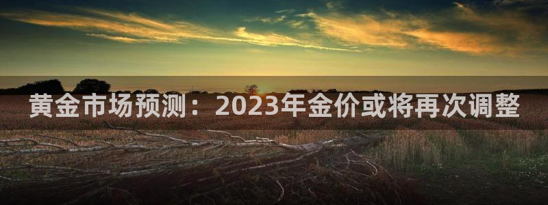 旺财28体育娱乐注册链接：黄金市场预测：2023年金价或将再次调整