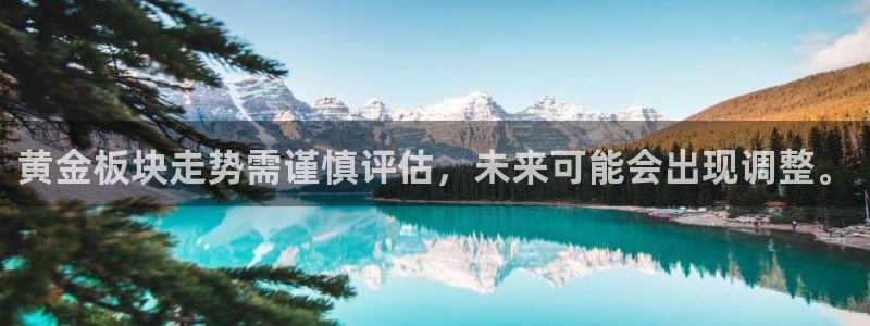 旺财28平台：黄金板块走势需谨慎评估，未来可能会出现调整。