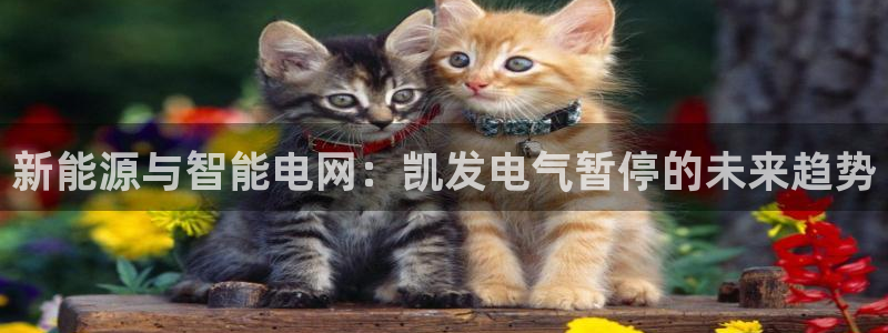 旺财28kgame：新能源与智能电网：凯发电气暂停的未来趋势