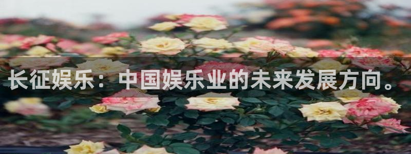 旺财283平台注册：长征娱乐：中国娱乐业的未来发展方向。