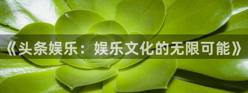 旺财28主管：《头条娱乐：娱乐文化的无限可能》