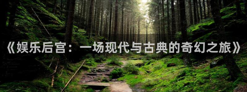 旺财28平台官网：《娱乐后宫：一场现代与古典的奇幻之旅》