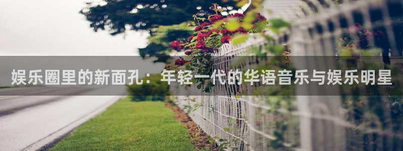 旺财28平台：娱乐圈里的新面孔：年轻一代的华语音乐与娱乐明星