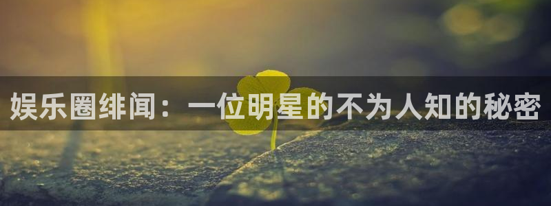 佛山市南海旺财28机电仪器有限公司：娱乐圈绯闻：一位明星的不为人知的秘密