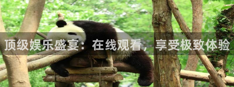 旺财28体育热门赛事有哪些：顶级娱乐盛宴：在线观看，享受极致体验
