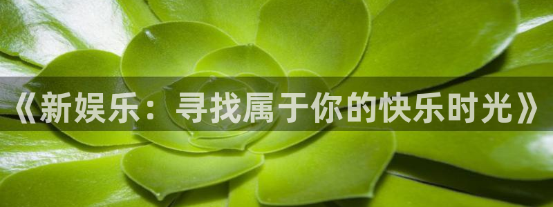 旺财28体育4：《新娱乐：寻找属于你的快乐时光》
