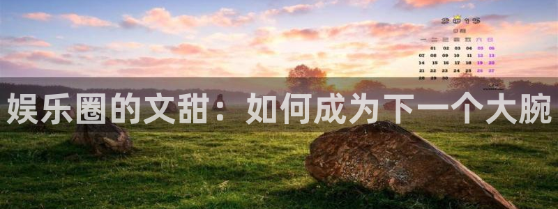 旺财28体育网页版入口：娱乐圈的文甜：如何成为下一个大腕