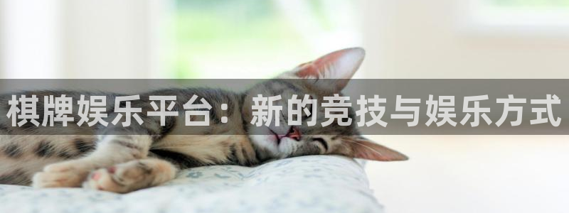 旺财28股份：棋牌娱乐平台：新的竞技与娱乐方式