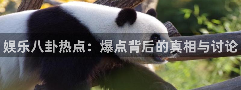 旺财28体育平台登录入口：娱乐八卦热点：爆点背后的真相与讨论