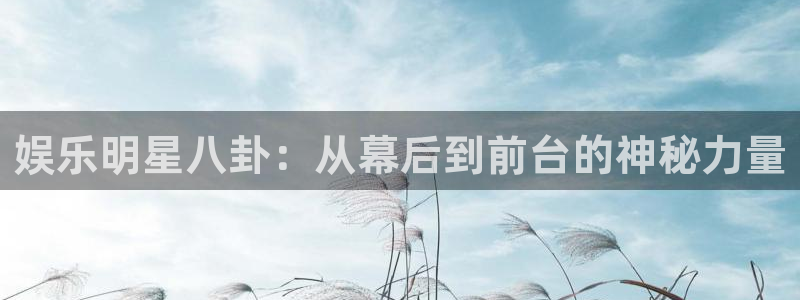 旺财28：娱乐明星八卦：从幕后到前台的神秘力量