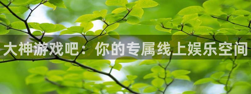 旺财28招商：大神游戏吧：你的专属线上娱乐空间
