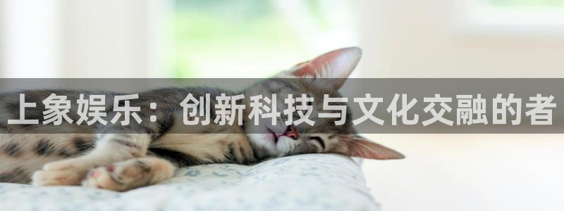 旺财28体育平台总代理：上象娱乐：创新科技与文化交融的者