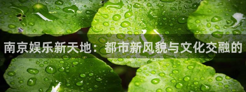 旺财28集团总部：南京娱乐新天地：都市新风貌与文化交融的