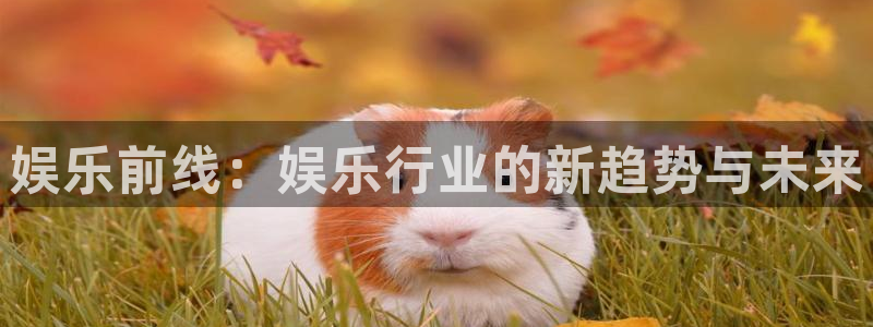 旺财28体育平台总代理：娱乐前线：娱乐行业的新趋势与未来