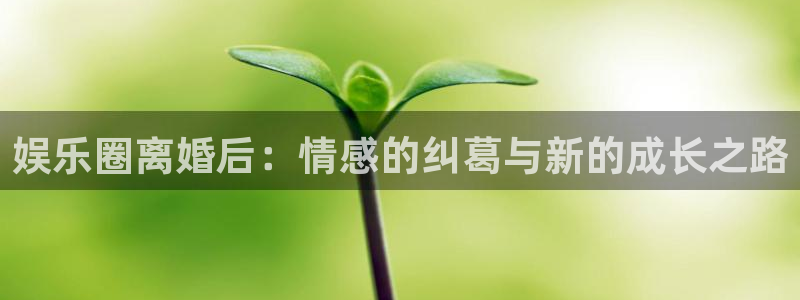 旺财28体育app下载：娱乐圈离婚后：情感的纠葛与新的成长之路