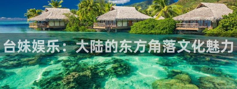 旺财285注册：台妹娱乐：大陆的东方角落文化魅力